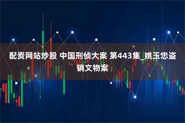 配资网站炒股 中国刑侦大案 第443集_姚玉忠盗销文物案